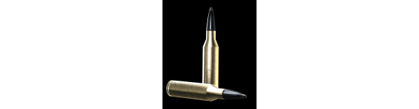 Padr.Norma 30-06 ODIN 11,7g