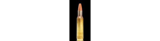 Padr.Lapua 222 Rem NATURALIS 3,2g
