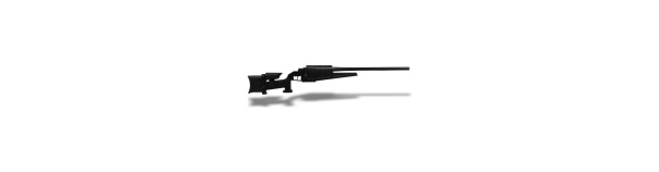 Relv Blaser LRS2 300winMag +summutikeere