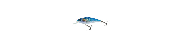 Lant Salmo Executor 9 14,5g