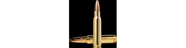 Padr.Norma 308w WHITETAIL 11,7g