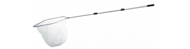 Kahv York Tamiil Boat valge