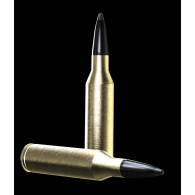 Padr.Norma 308 win ODIN 10,5g